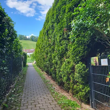 Apartment Ferienapartment Schlummerhausen Fuer Bis Zu 5 Personen, Haustiere Willkommen Und Kostenfrei, Mit Einbaukueche, Wlan, Smart-tv, Alexa Beilstein (Baden-Wurttemberg)